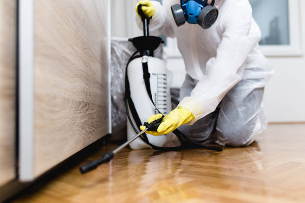 Best Bed Bug Extermination  in Osprey, FL