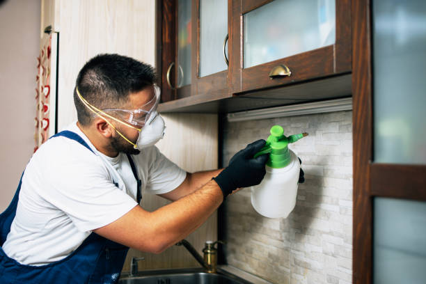 Best Affordable Pest Control Services  in Osprey, FL