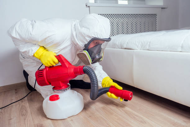 Best Insect Control  in Osprey, FL