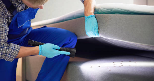 Best Pest Removal Services  in Osprey, FL