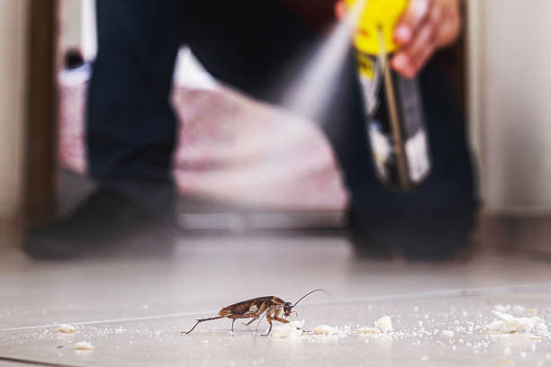 Best Residential Pest Control  in Osprey, FL